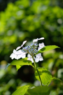 32182D96-920A-43D4-9562-DF36BF1D652F.jpeg