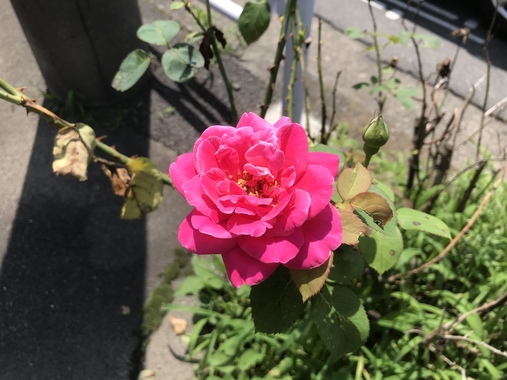 E6412C2C-D2F7-479B-AC8D-8EE7542F1FD5.jpeg