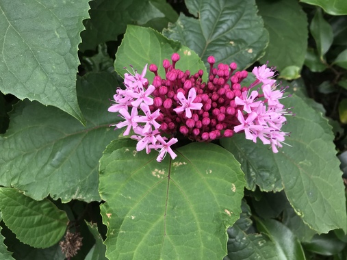874A3D6A-22EA-43C0-9B87-0D1CA602D2F9.jpeg