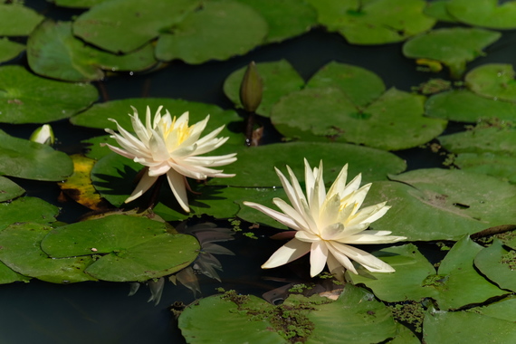 1792A6D5-8870-46CA-A3D4-D8317C198234.jpeg