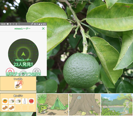 旅かえる20200705.jpg