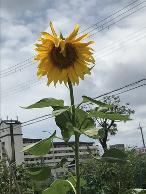 5C0D5C06-5C63-49D8-AECF-138292BE77E1.jpeg