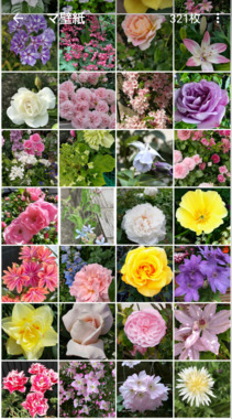 clip_now_20200709_163951.png