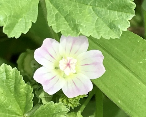 9ED9E994-3D4C-4596-8621-E07157B6EAA7.jpeg