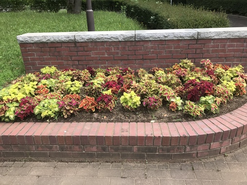 0797DDFF-F696-4772-B4D8-B77E83DF4D5C.jpeg