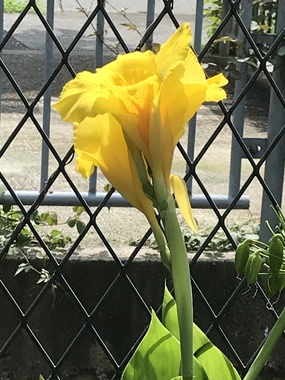 264733B2-0D81-49AB-9A34-C64274E91AC4.jpeg
