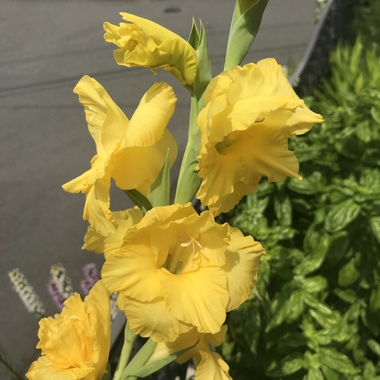 99FE1947-4143-441A-8062-F1345549B886.jpeg