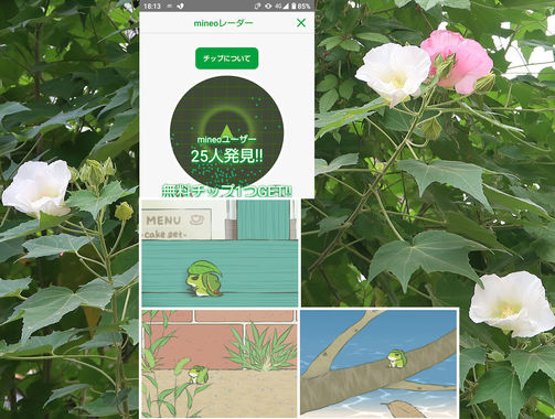 旅かえる20201007.jpg