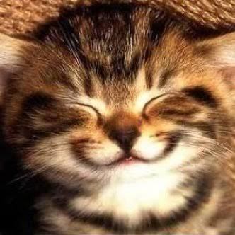 猫笑顔.jpg