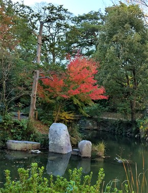 小倉城庭園と池4723542_COVER.jpg