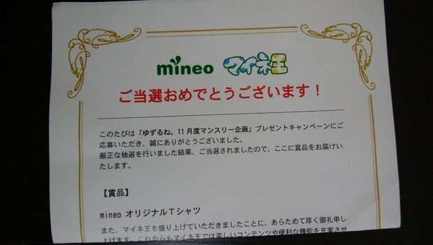 mineo_T.jpg