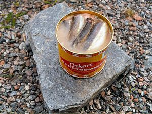 300px-Surströmming.jpg