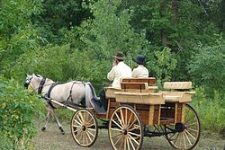250px-Horse....Carriage....Cell_Phone__(1035544976).jpg