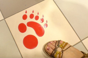 footprint_panda.png