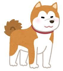 dog_akitainu.png