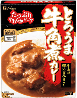 ハウスとろうま牛角煮カレー.jpg