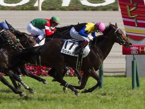 日本ダービー.jpg