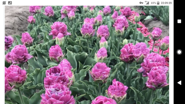 Screenshot_20210515-220942.png