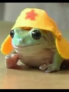 コスプレ.jpg