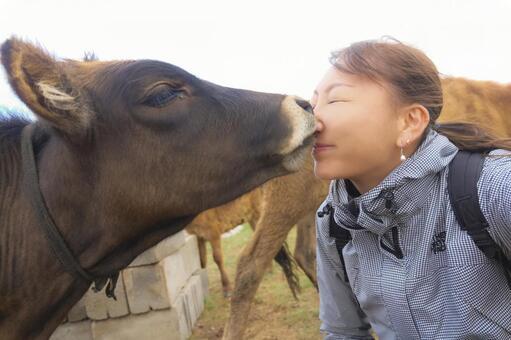 牛とキス.jpeg