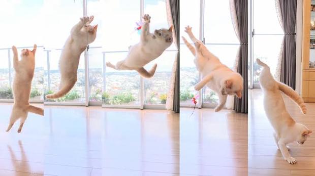 カッコイイ オシャレな言葉 教えてください 掲示板 マイネ王