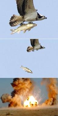 images.jpg