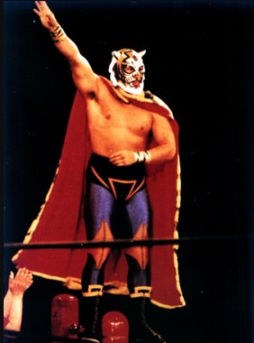 初代タイガーマスク_トップロープ.jpg
