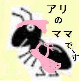 unnamed_(12).jpg