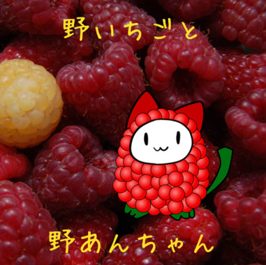 ラズベリーあんちゃん.png