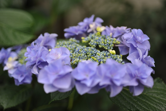 DSC_3538.JPG