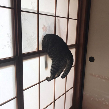 名称未設定_1.jpg