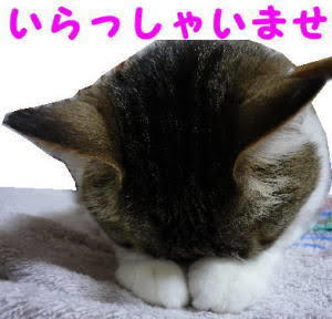images_(2).jpeg