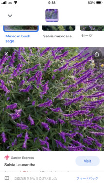 IMG_0147.PNG