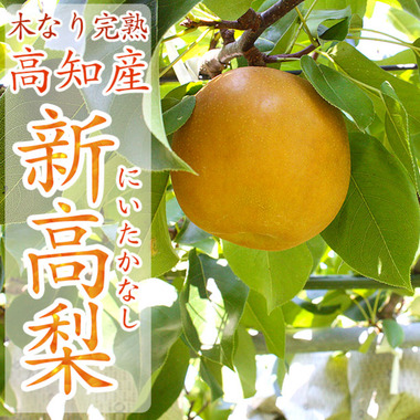 Screenshot_20210926-005820_2.png