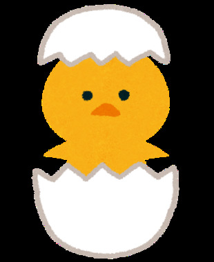 hiyoko_baby.png