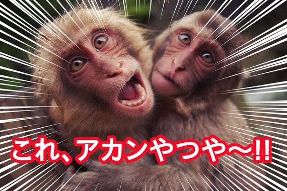 two-monkeys.jpg