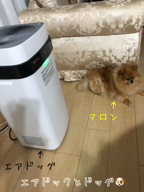 E2C1A6CE-D659-4C51-88D7-92D95C3AE386.jpeg
