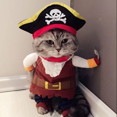 おかしい猫服海賊スーツ洋服猫衣装服コルセアハロウィン服ドレスアップ猫パーティー衣装のスーツ-1-88498.jpeg
