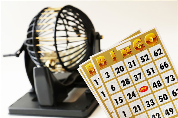 bingo-1.jpg