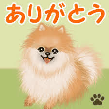 E301AE0C-DDE9-4400-B7A4-A0A7287C77C8.jpeg