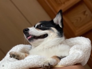 81640625-B1C8-40AA-B595-772F47DD0973.png