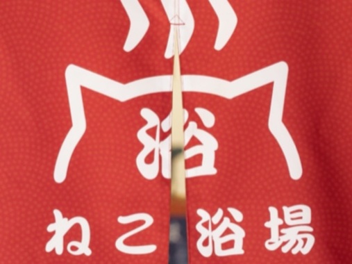 03A2E58F-56F5-440C-ABD9-EFD24DB31034.png