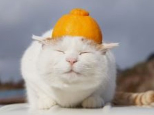 D9E56A18-FC10-41B1-B93B-AF21E5B08BB9.jpeg