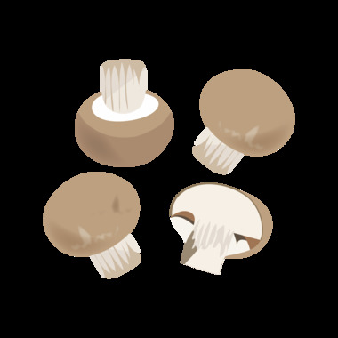 brwon-mushroom-01-01.png