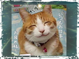 D2CF785E-A288-49DA-AD42-8AA9BD0A818A.jpeg