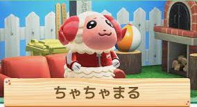 ちゃちゃまる.jpg