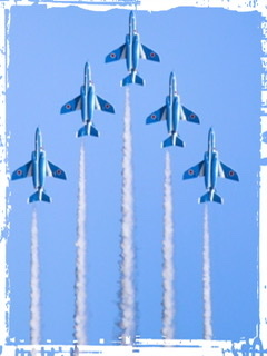 1633949C-019F-43BD-A3A4-44DAD07CB370.jpeg