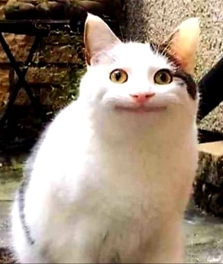 20211112_121019.jpg
