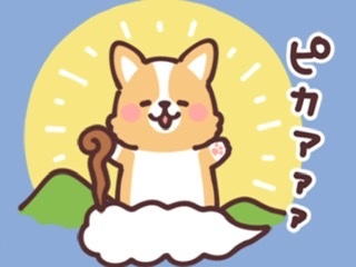 9477CD47-A8D3-49C5-A5E2-888BB44BA604.jpeg