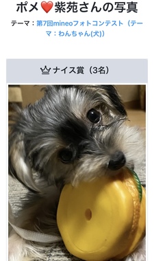 525A8967-8E97-4F1E-A3BB-B8227672BE1E.jpeg